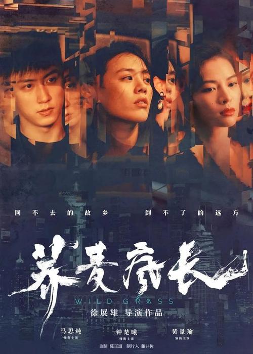 中国农业银行存款证明图片